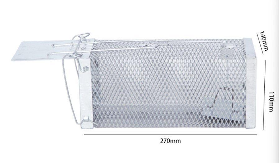 Rattenval, Animaux & Accessoires, Volatiles, Sexe inconnu