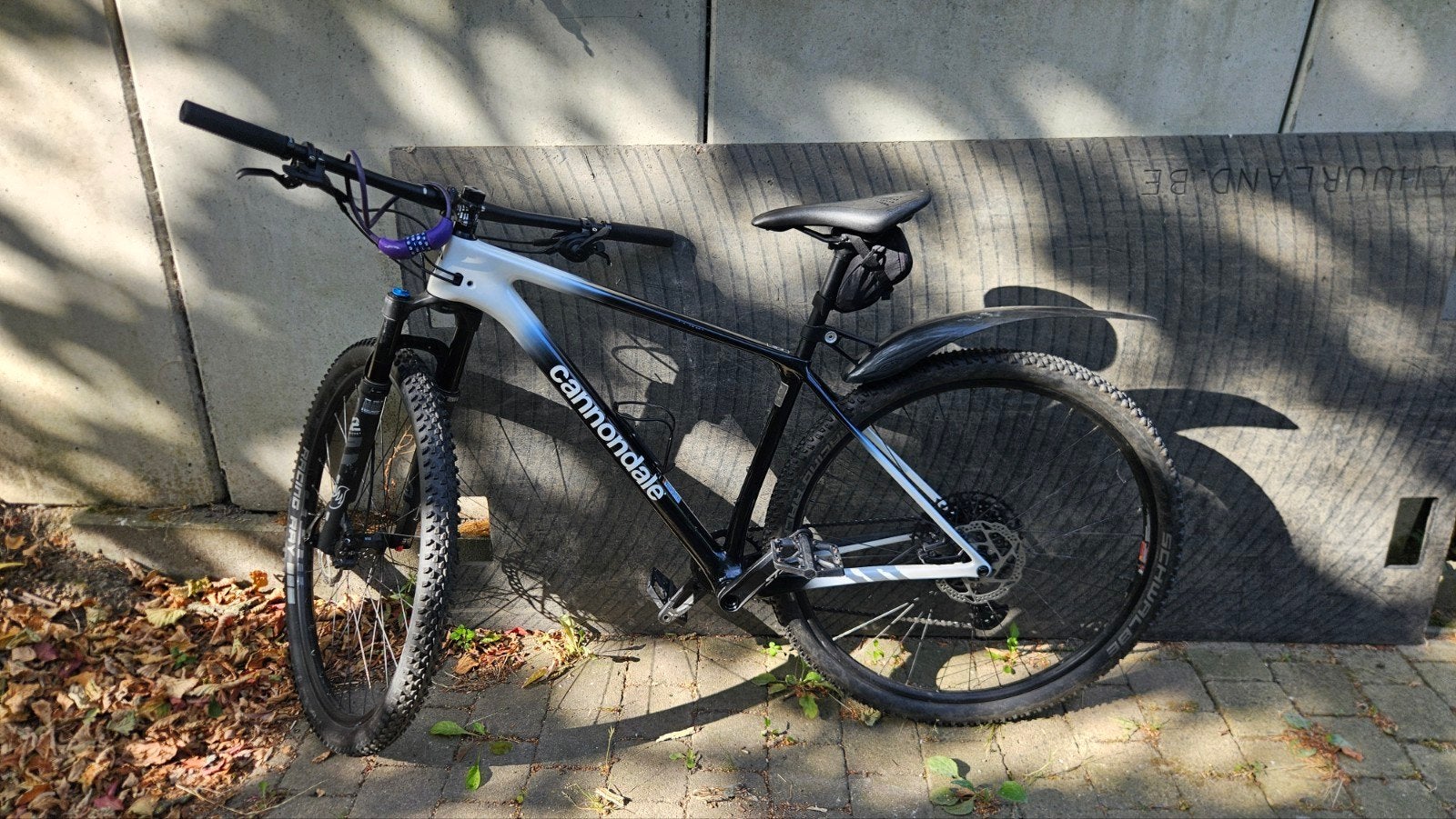 Cannondale F-Si, Enlèvement, Vitesses