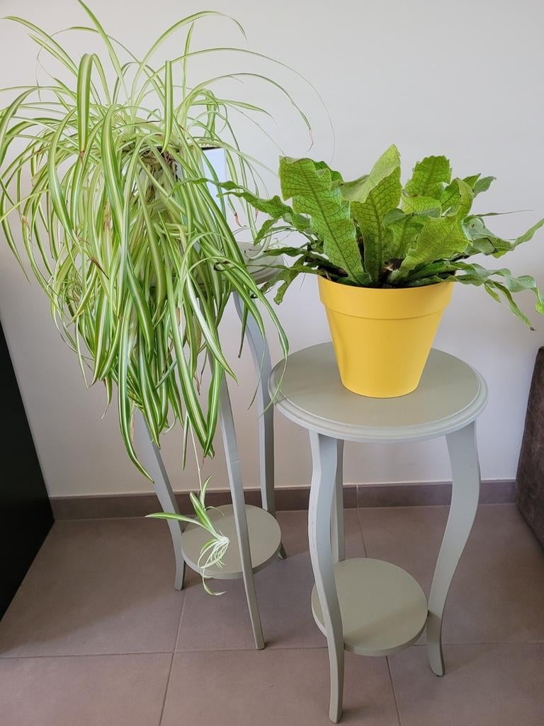 Plantenstaanders per 2, Huis en Inrichting, Kamerplanten, Ophalen