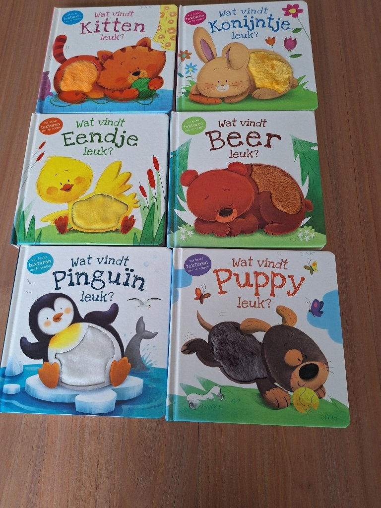 wat vindt ... leuk?, Enlèvement
