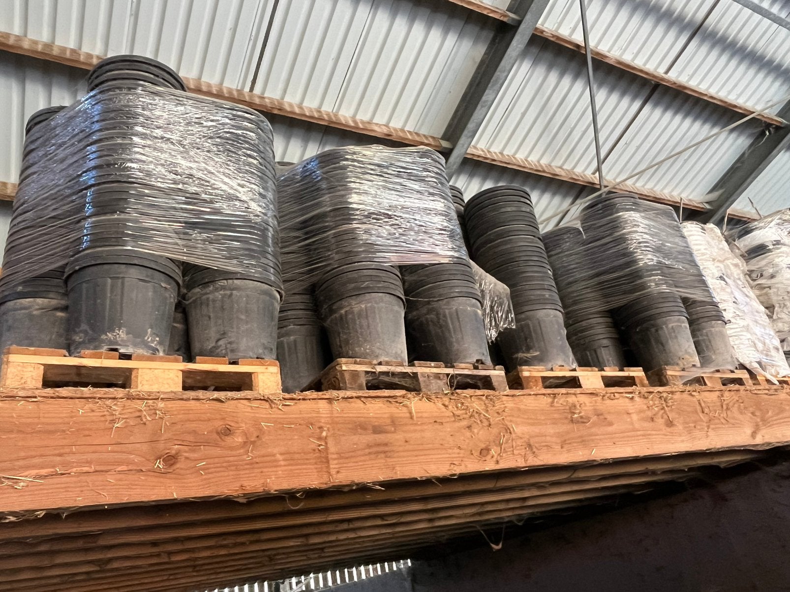 Bloempotten 20l lot van 7 paletten 1250 stuks, Tuin en Terras, Kunststof, Gebruikt, 35010 Granporto, Rond