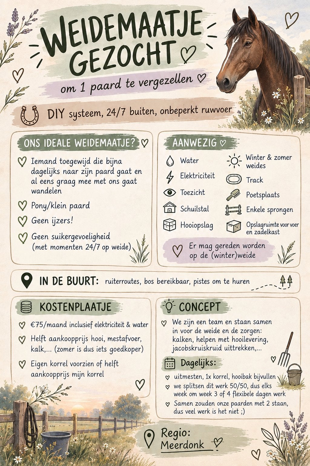 Weidemaatje gezocht, Pâturage, 1 cheval ou poney