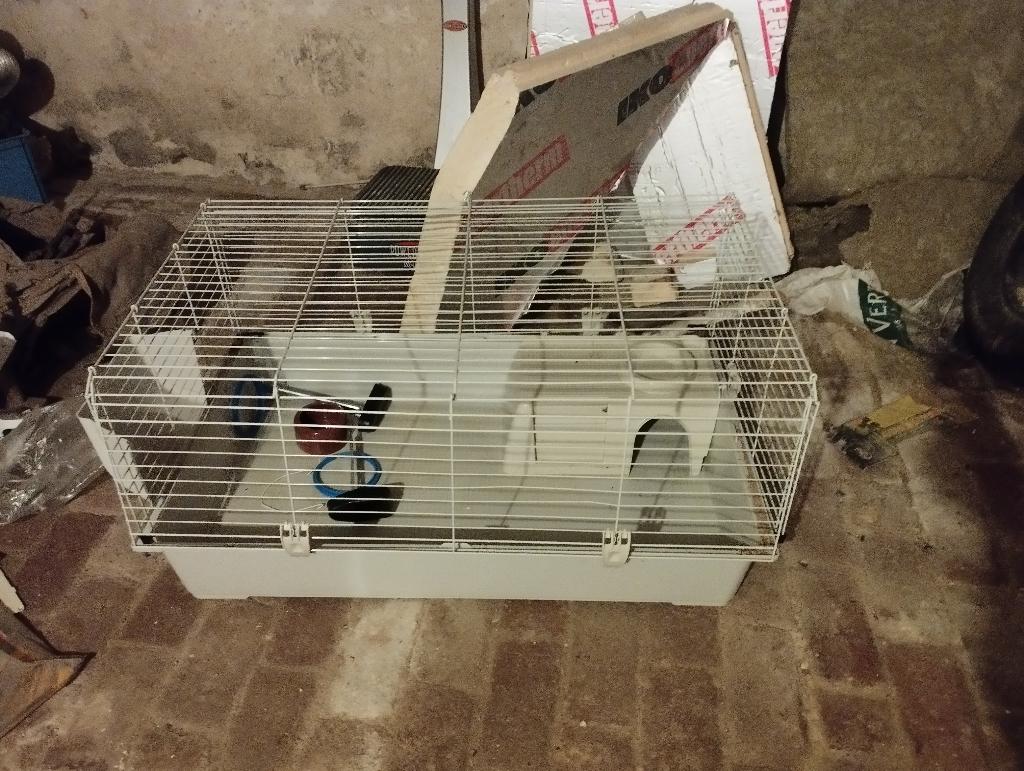Cage lapin ou cochon d'Inde, Ophalen, Gebruikt, Kooi, Konijn