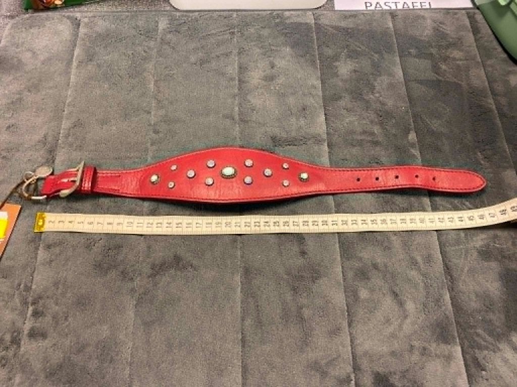 Luxe halsband aan outletprijsje !, Enlèvement ou Envoi, Neuf