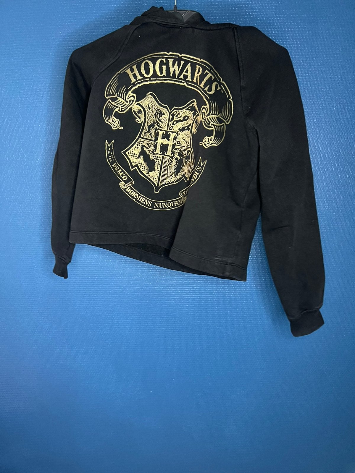Pull Harry Potter, Kinderen en Baby's, Kinderkleding | Maat 146, Ophalen, Gebruikt, Meisje, Trui of Vest