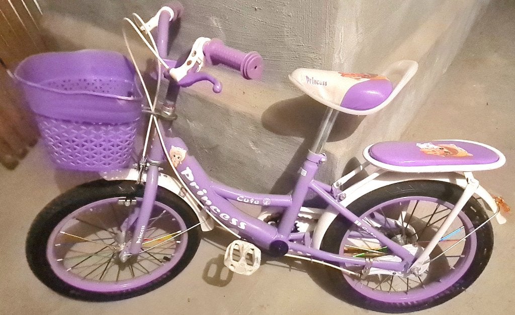 Fiets, Enlèvement