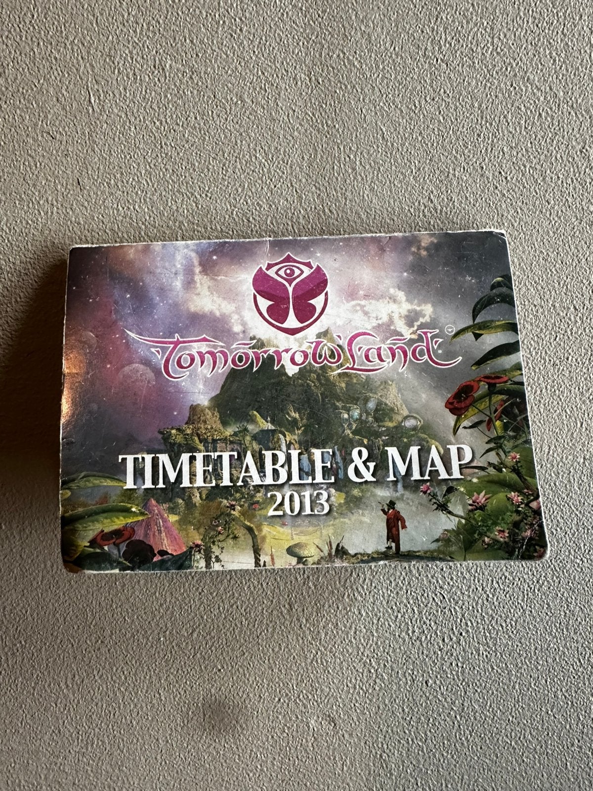 Tomorrowland 2013, Enlèvement, Comme neuf