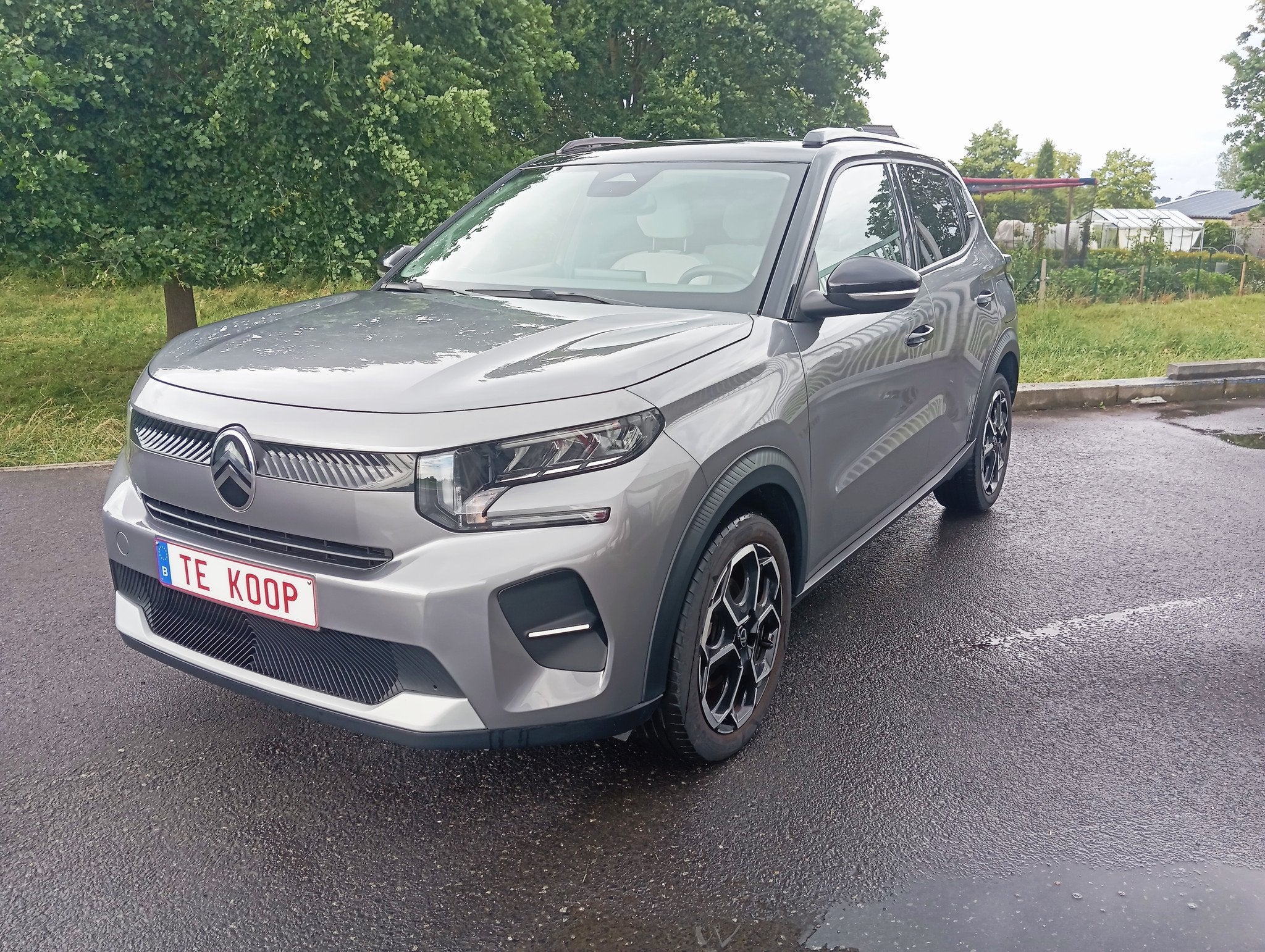 Citroën C3, Argent ou Gris, Achat, Euro 6, Entreprise