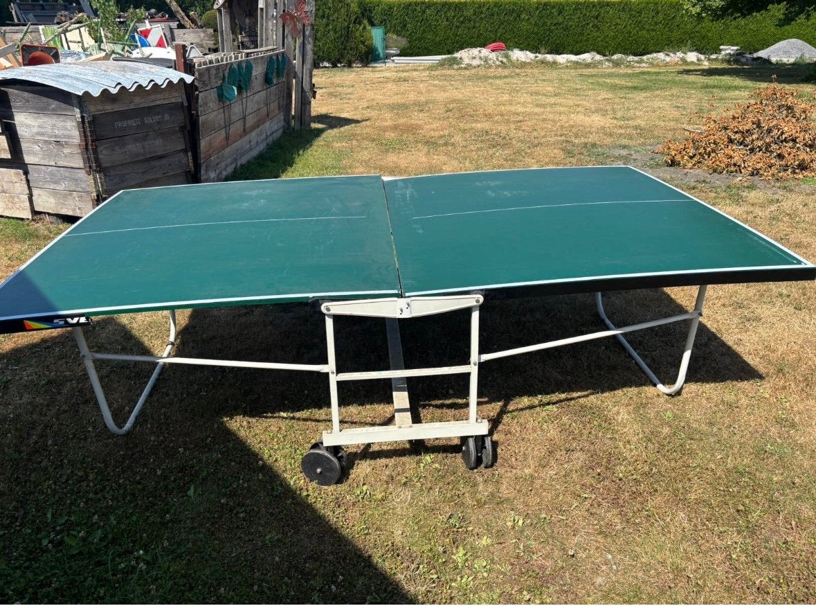 Pingpongtafel, Sport en Fitness, Ophalen, Zo goed als nieuw
