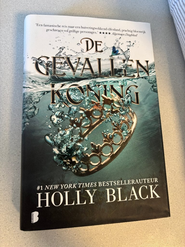 de gevallen koning, Boeken, Fantasy, Ophalen of Verzenden, Zo goed als nieuw, Holly Black