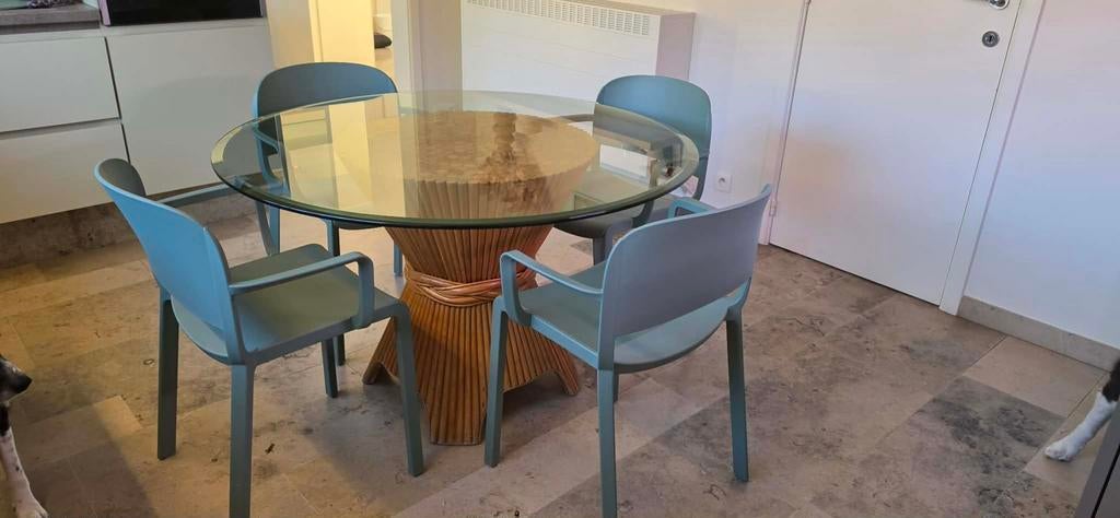 Pedrali design stoelen (Made in Italy) + glazen tafel, Huis en Inrichting, Ophalen, Zo goed als nieuw, Kunststof