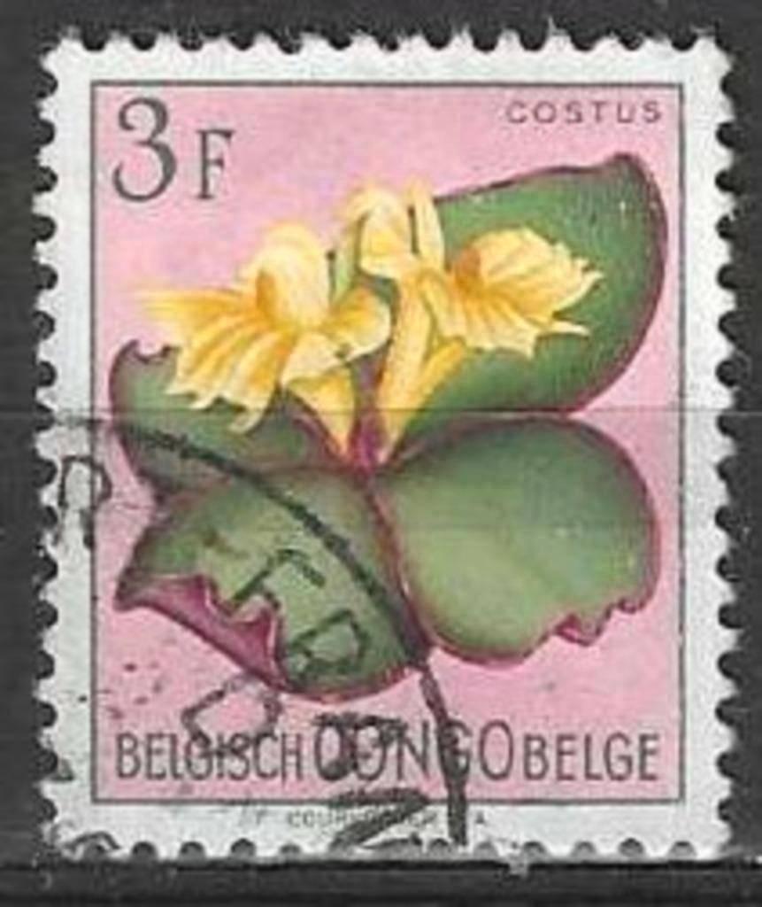 Congo belge 1952 - Yvert 314 - Flore - Fleurs (ST), Envoi, Affranchi