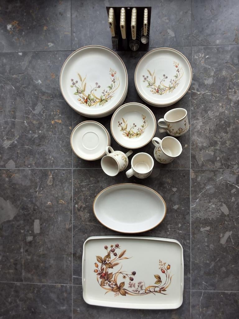 Vintage Midwinter Harvest servies – Made in England, Ophalen of Verzenden