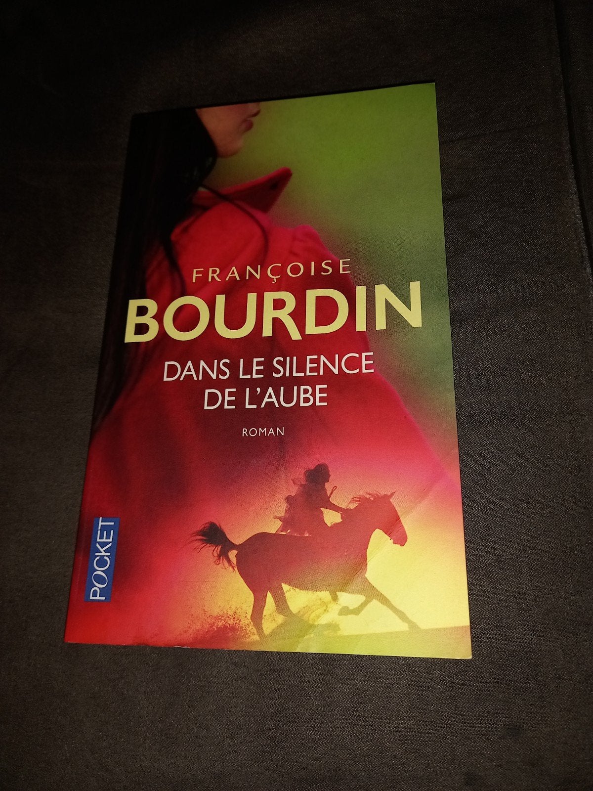 livre dans le silence de l'aube, Enlèvement