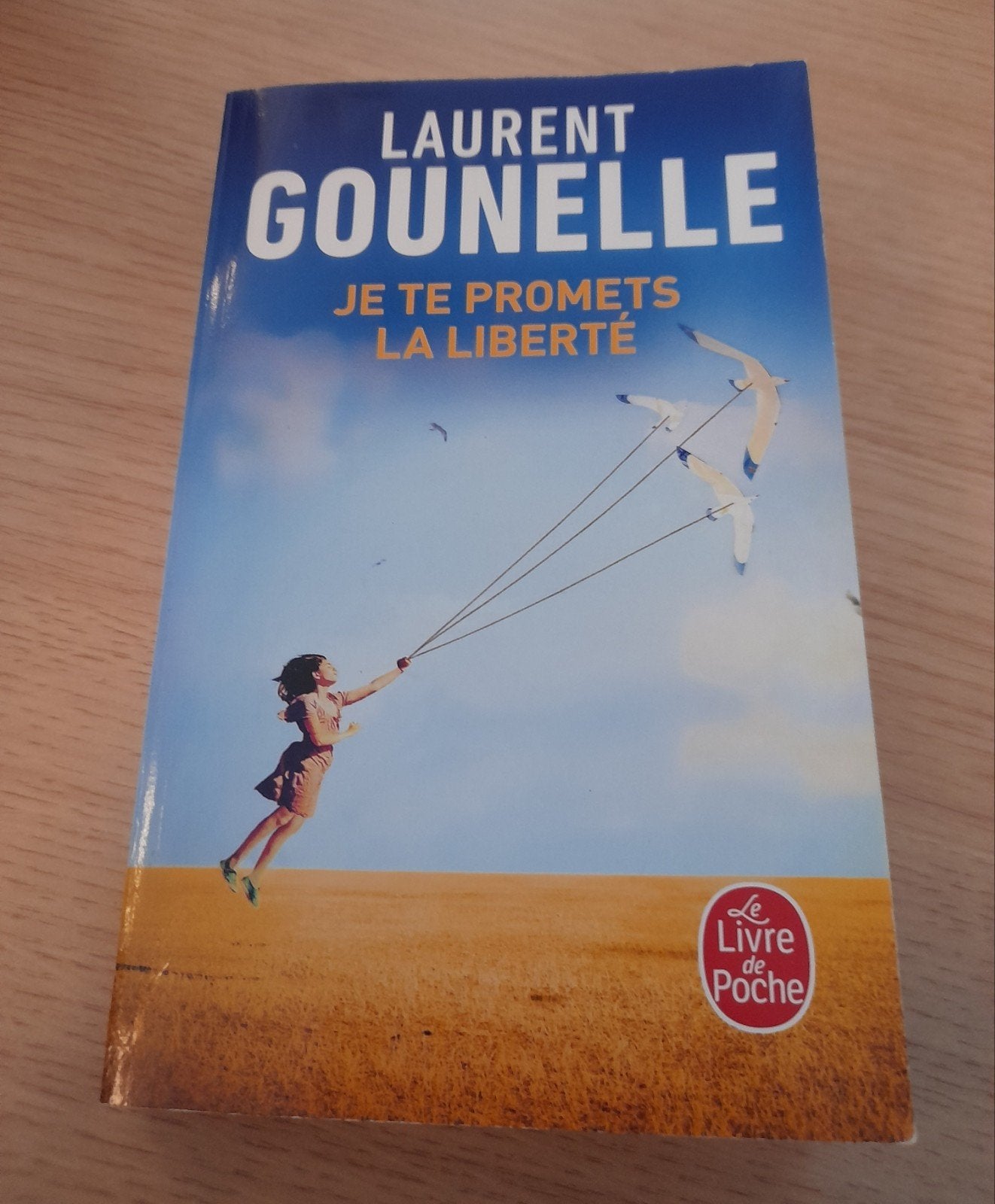 Je te promets la liberté - Laurent Gounelle, Livres, Enlèvement ou Envoi