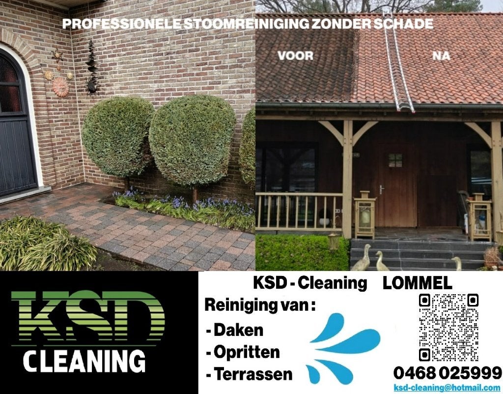 Ontmossen met stoom, Ophalen of Verzenden