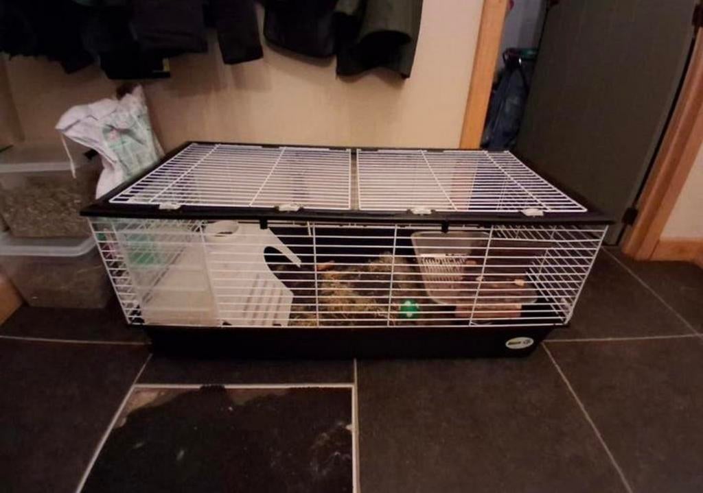 Konijnhok, Dieren en Toebehoren, Ophalen, Gebruikt, Hok, Konijn