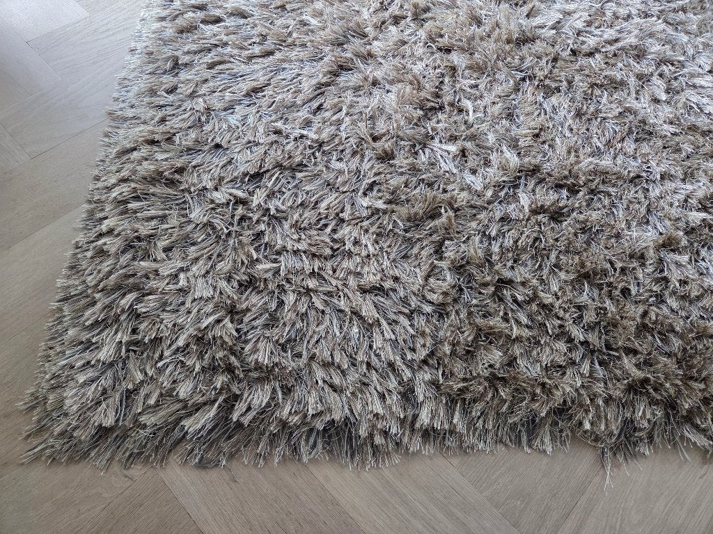 Hoogpolig shaggy tapijt bruin beige tinten, Maison & Meubles, Ameublement | Tapis & Moquettes, 200 cm ou plus, 200 cm ou plus