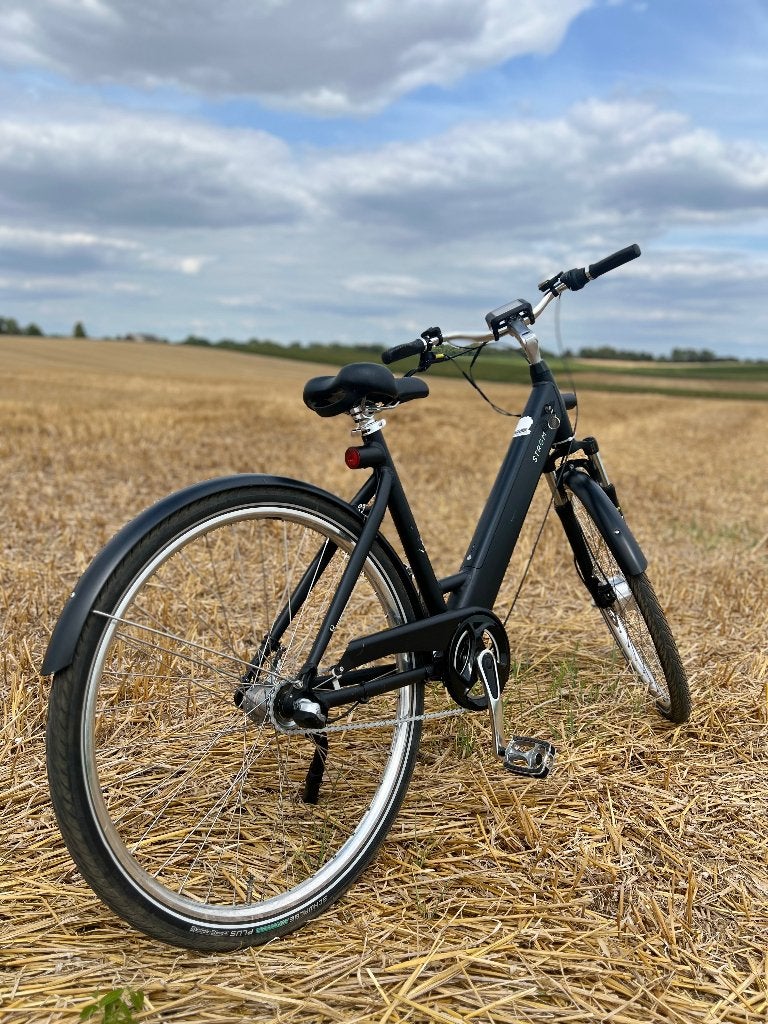 Vélo électrique homme avec 2 batteries, Enlèvement, Comme neuf