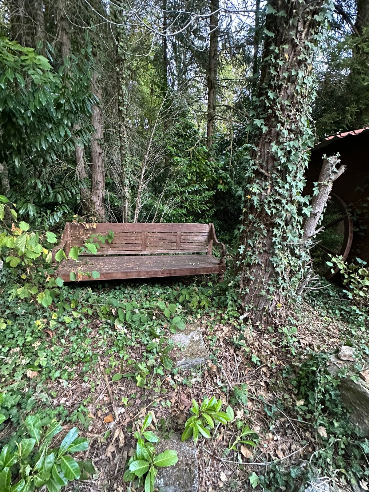 Chalet te koop ( regio Virionval), Immo, 80 m², Verkoop zonder makelaar, Chalet, Provincie Namen
