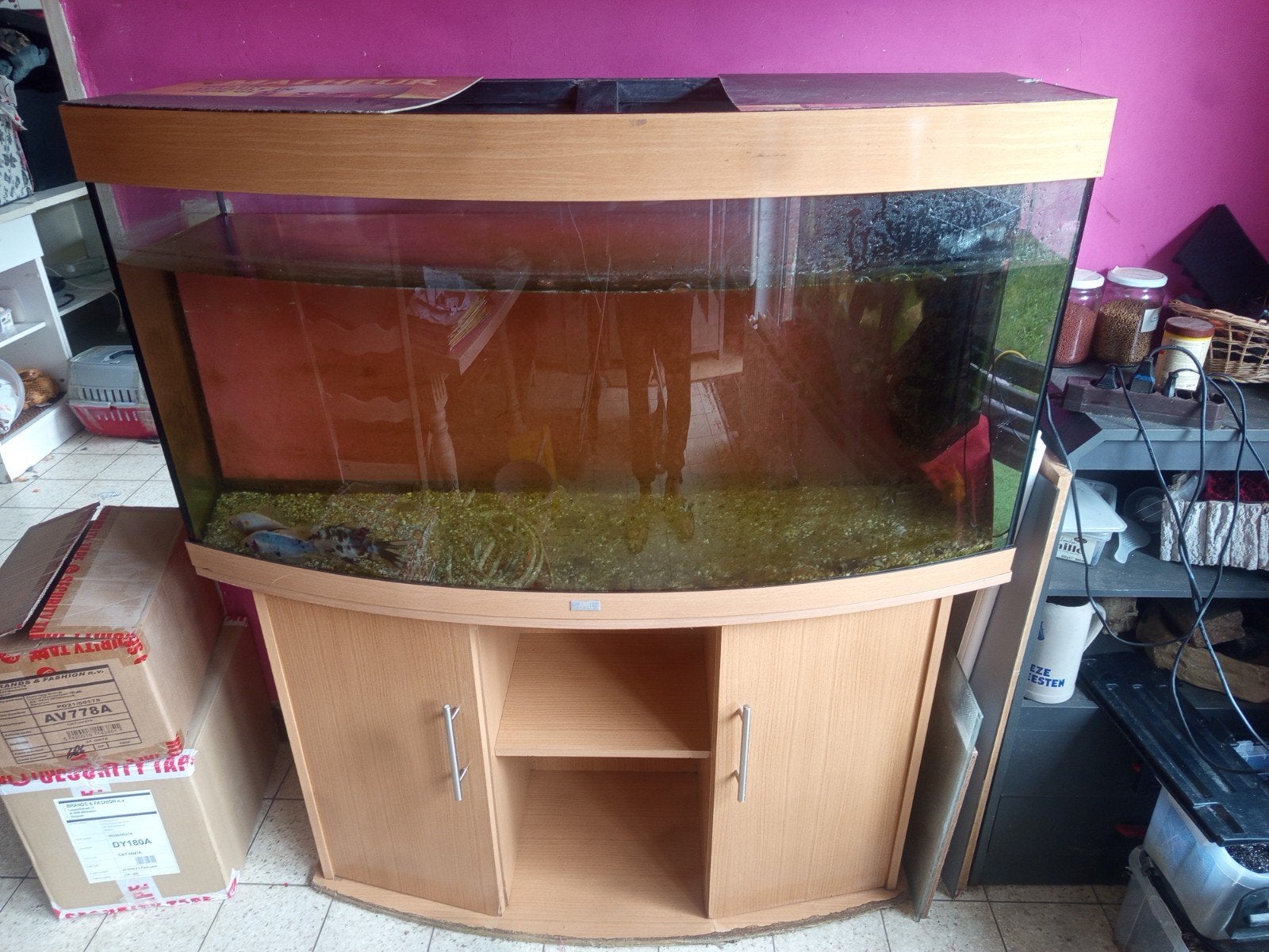 Aquarium Juwel avec armoire, Animaux & Accessoires, Poissons | Aquariums & Accessoires, Enlèvement, Filter, Juwel