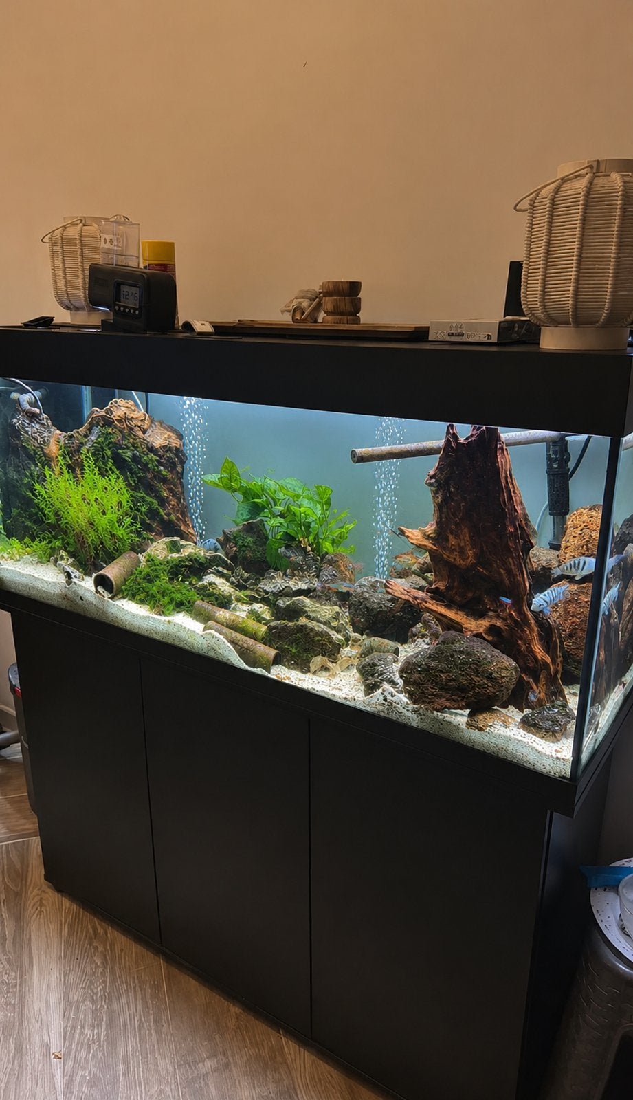 Juwel Rio aquarium. Met alle toebehoren en vissen, Dieren en Toebehoren, Ophalen, Zo goed als nieuw, Filter, Juwel