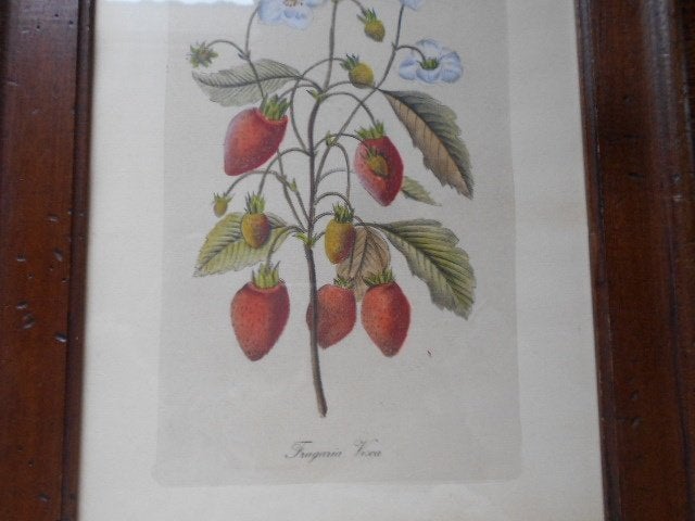 antieke kader, oude tegel, schilderijtjes,  enz, Ophalen of Verzenden, Landschap, Ets, Gesigneerd