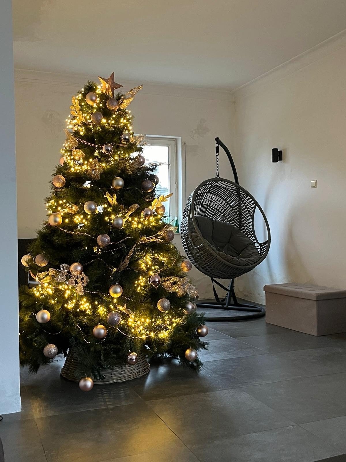 Kerstboom, Diversen, Kerst, Ophalen