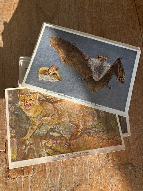 FORT prentjes, Enlèvement, Comme neuf, Animal, Gravure