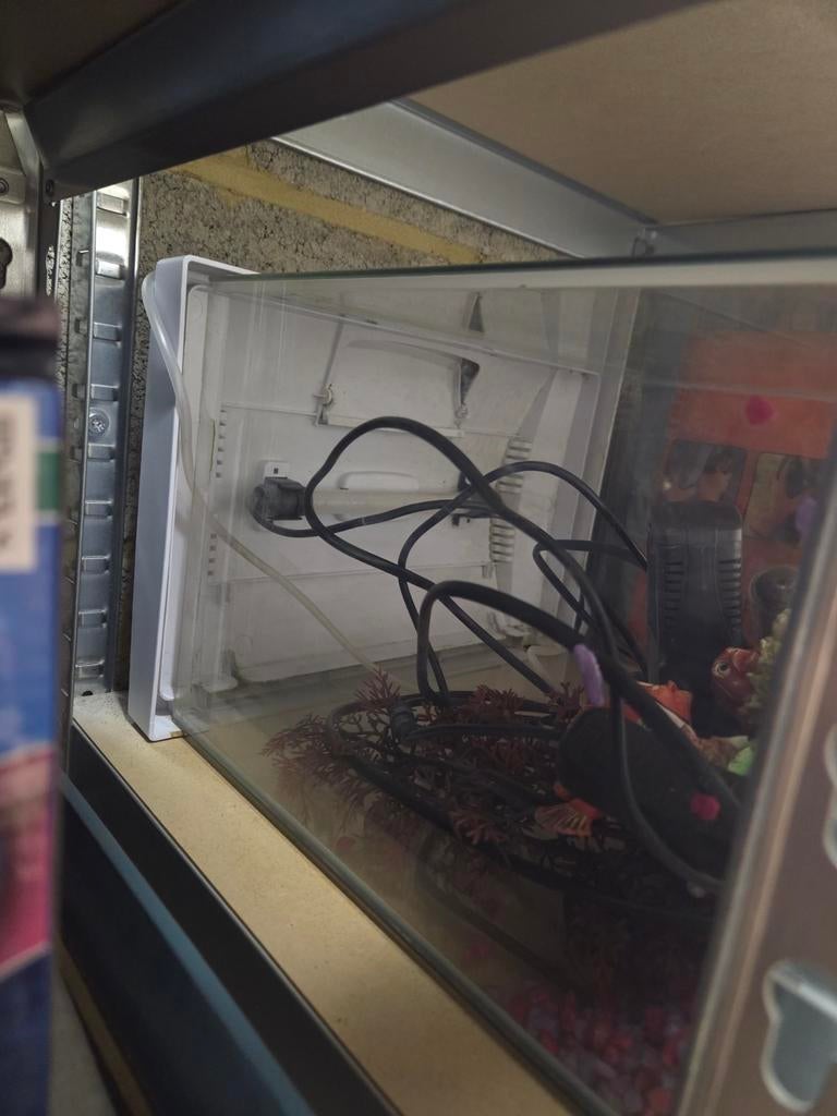 Aquarium complet de 30-40litres, Animaux & Accessoires, Enlèvement