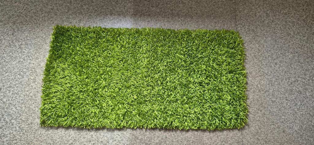 Tapijt, Huis en Inrichting, Stoffering | Tapijten en Vloerkleden, Ophalen, Minder dan 50 cm, 100 tot 150 cm, Gras