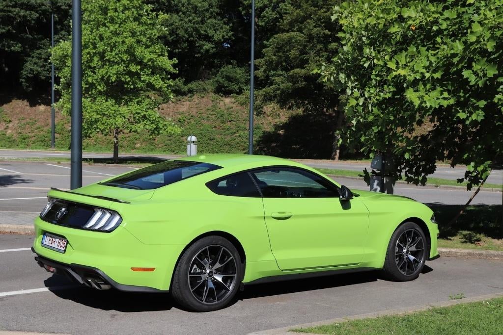 Ford Mustang 2.3 Ecoboost 55 années, Autos, Ford USA, Cuir, Achat, Euro 6, Boîte manuelle