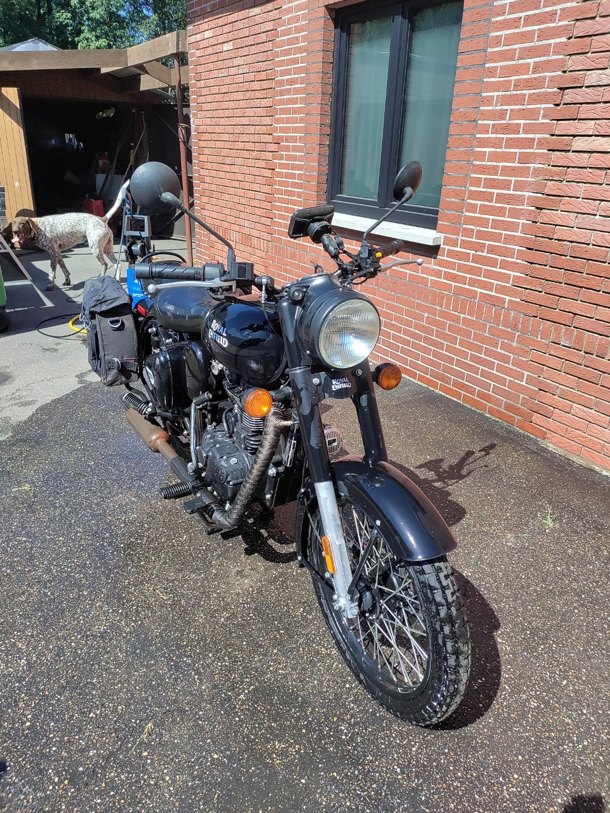 Royal enfield, Motos, Particulier