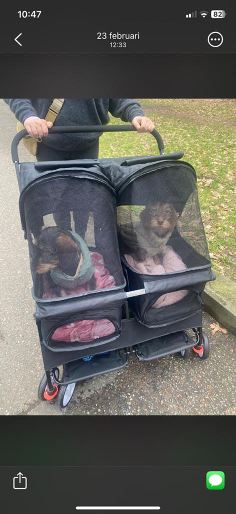 Dubbele honden buggy, Dieren en Toebehoren, Ophalen, Zo goed als nieuw