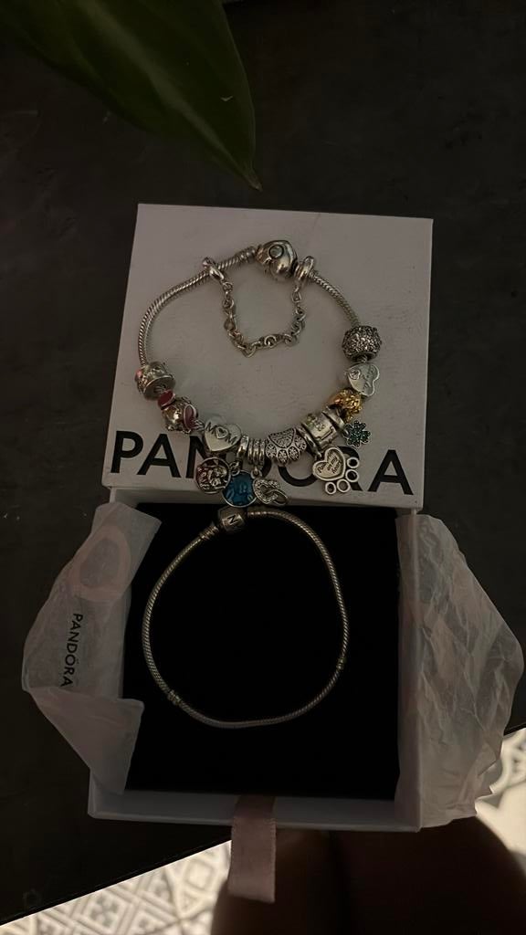 Pandora armband enkel de gevulde heb ik nog, Enlèvement, Comme neuf, Argent, Avec bracelets à breloques ou perles