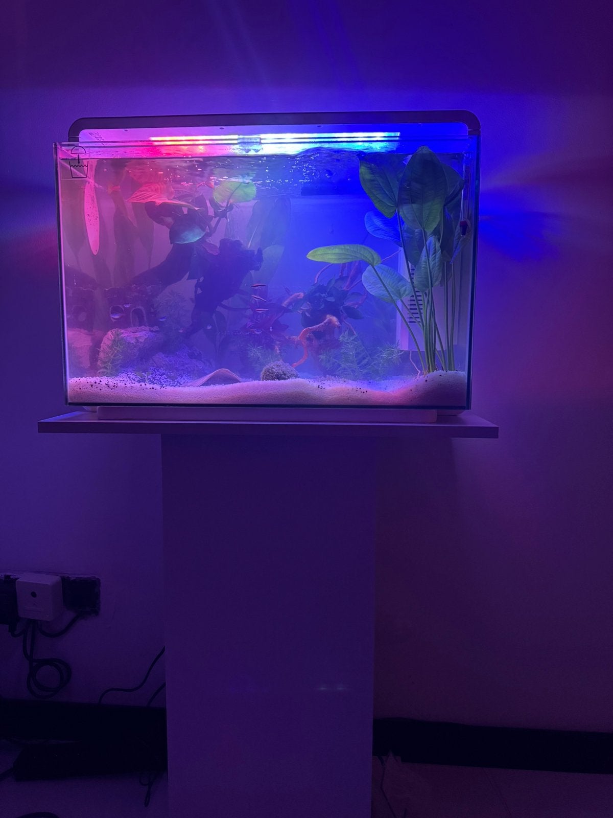 Aquarium 60liter, Dieren en Toebehoren, Vissen | Aquaria en Toebehoren, Ophalen, Pomp, Zo goed als nieuw