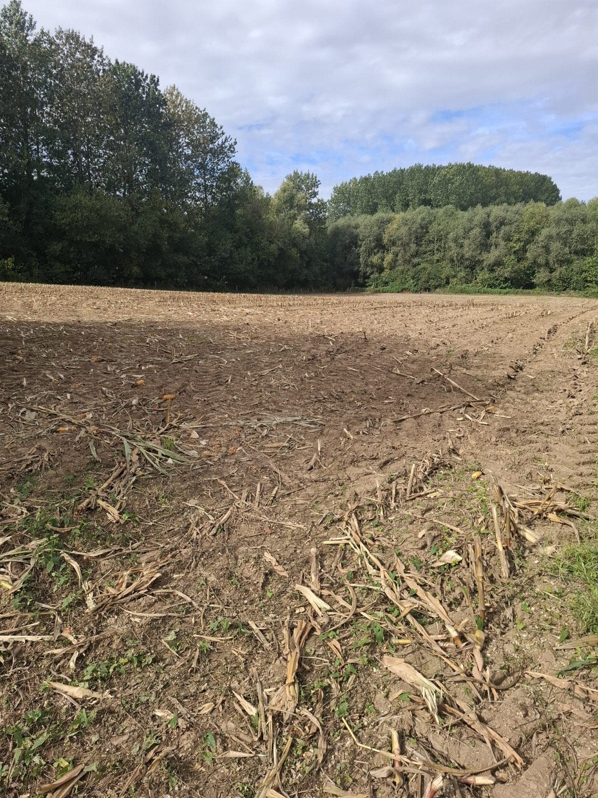 akkerland te koop, Immo