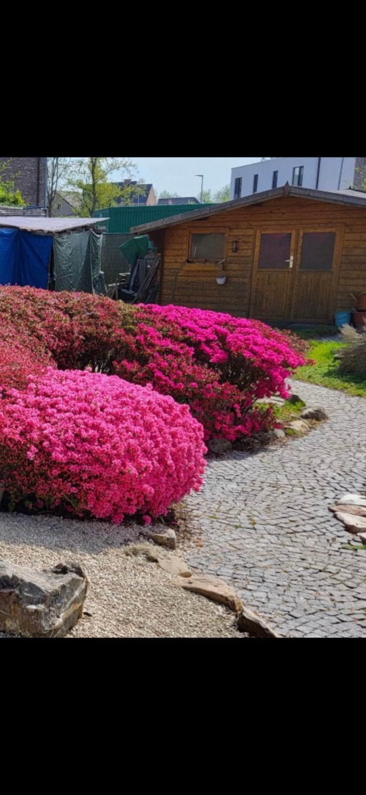 Kleine minnie klinkertjes, Tuin en Terras, Ophalen