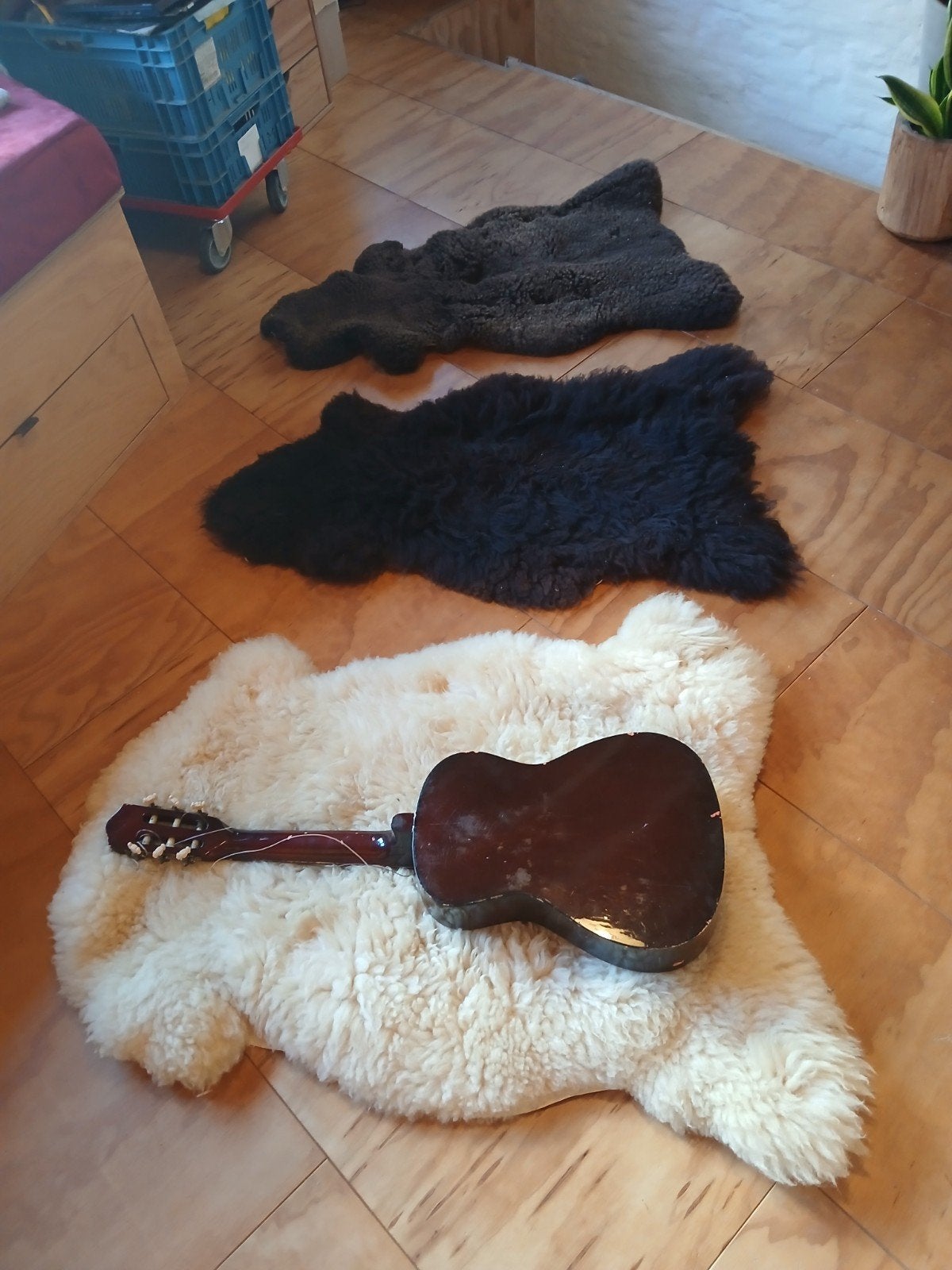 schapenvacht schapenvel pels schapenwol, Ophalen, S