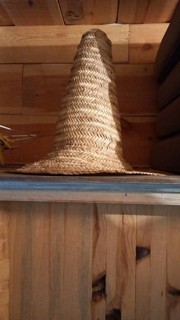 Sombrero Mexicaanse hoed, Ophalen of Verzenden