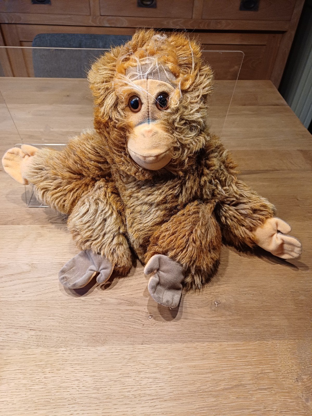 Singe Steiff avec bouton et bannière, Enlèvement ou Envoi