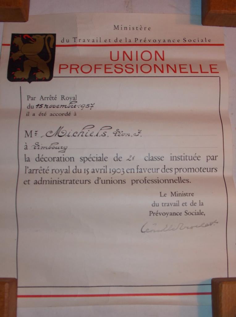 Lot de 9  diplôme pour médailles, Enlèvement ou Envoi, Armée de terre, Autres types
