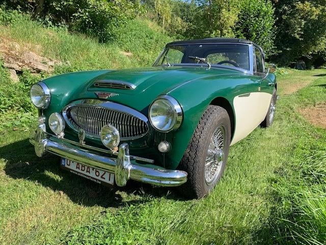Austin Healey, Achat, Autres couleurs, 2 portes, 6 cylindres