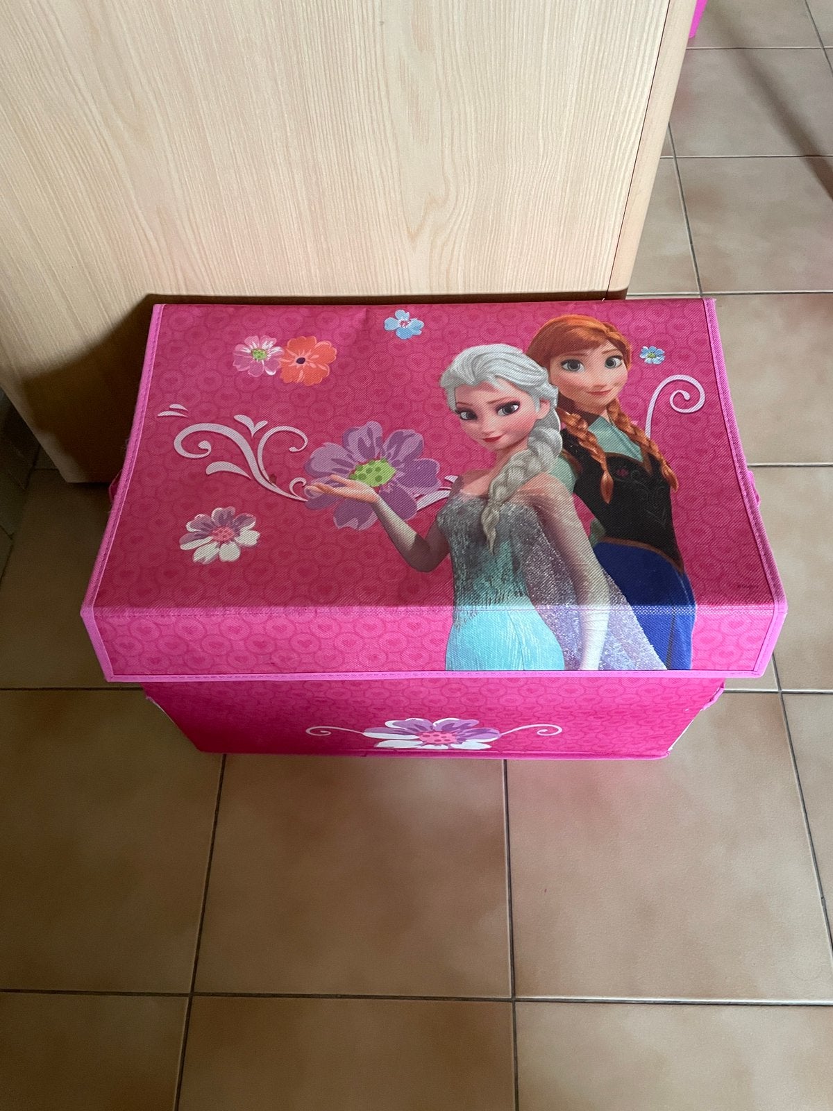 Opbergbox  Frozen, Ophalen, Zo goed als nieuw
