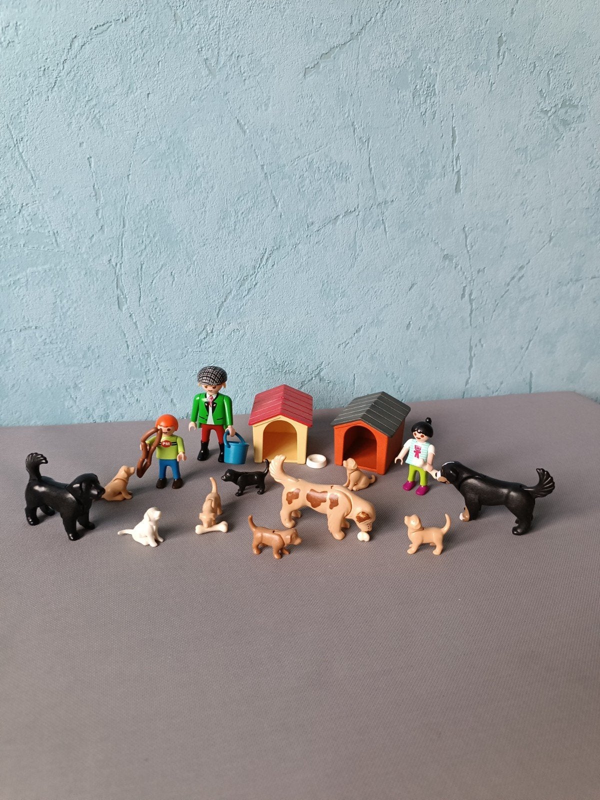 Hondenfamilie, Enlèvement ou Envoi