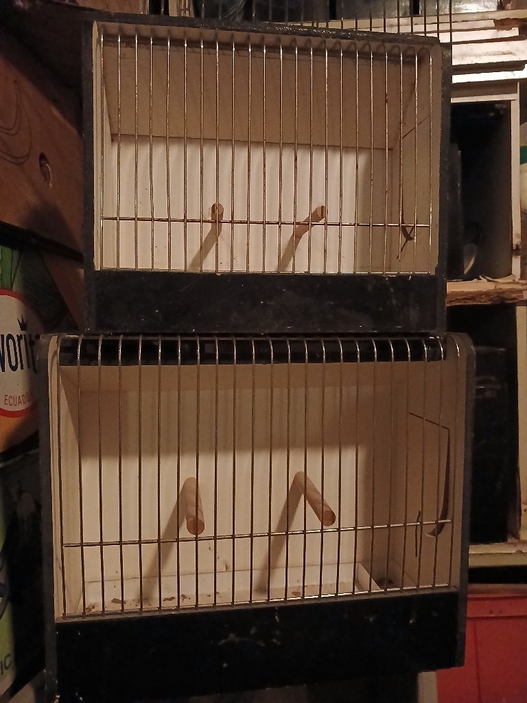 TT kooien, Dieren en Toebehoren, Ophalen, Gebruikt, Hout, Vogelkooi