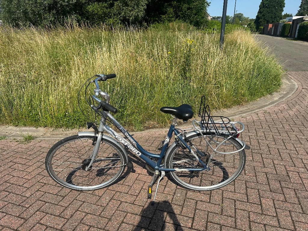 Damesfiets, Accès (extra) bas, Autres marques, Frein sur jante, 53 à 56 cm