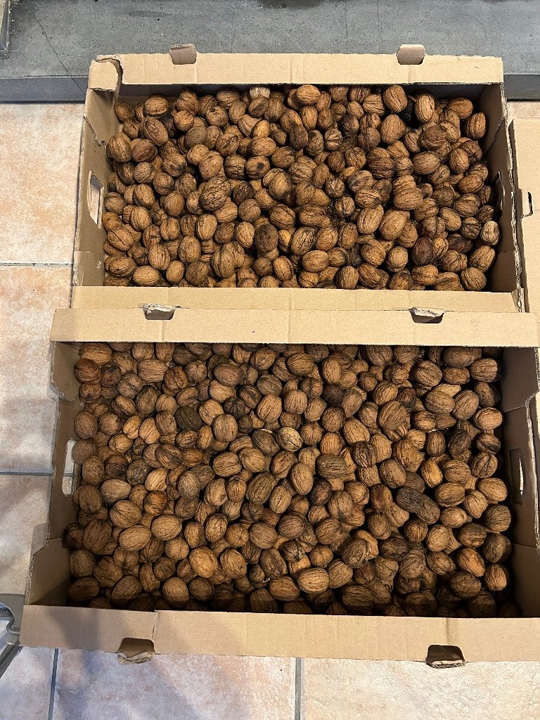 Verse noten 4€/kg, Diversen, Verzenden