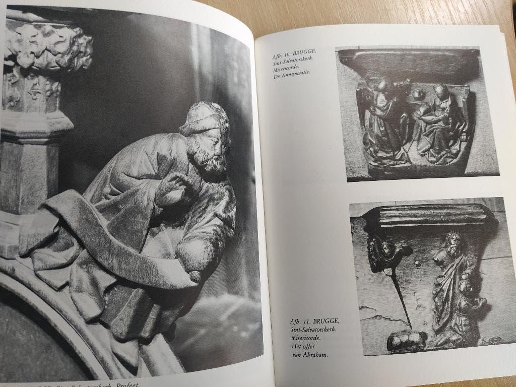 boek: koorgestoelten in West-Vlaanderen/Nadine Debergh, Boeken, Ophalen of Verzenden, Gelezen, Stijl of Stroming