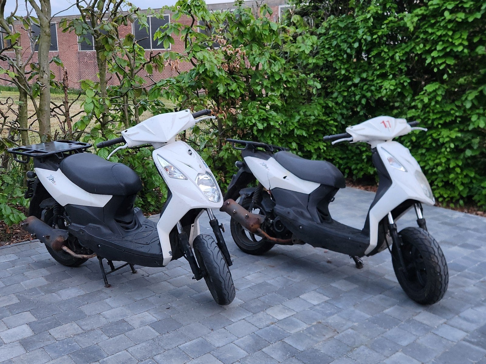 SYM Classe B 399€/pièce (lire le texte)
Il est immobile depu, Vélos & Vélomoteurs, Scooters | SYM, Enlèvement